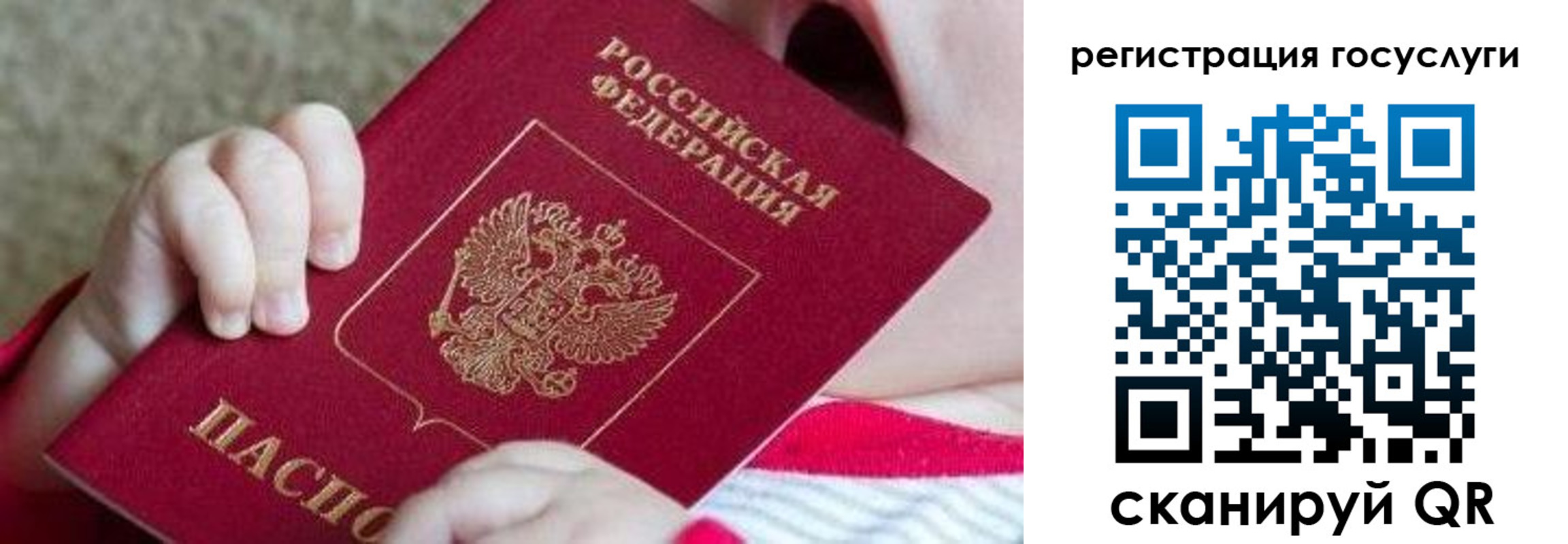 временная регистрация для всех в Светогорске